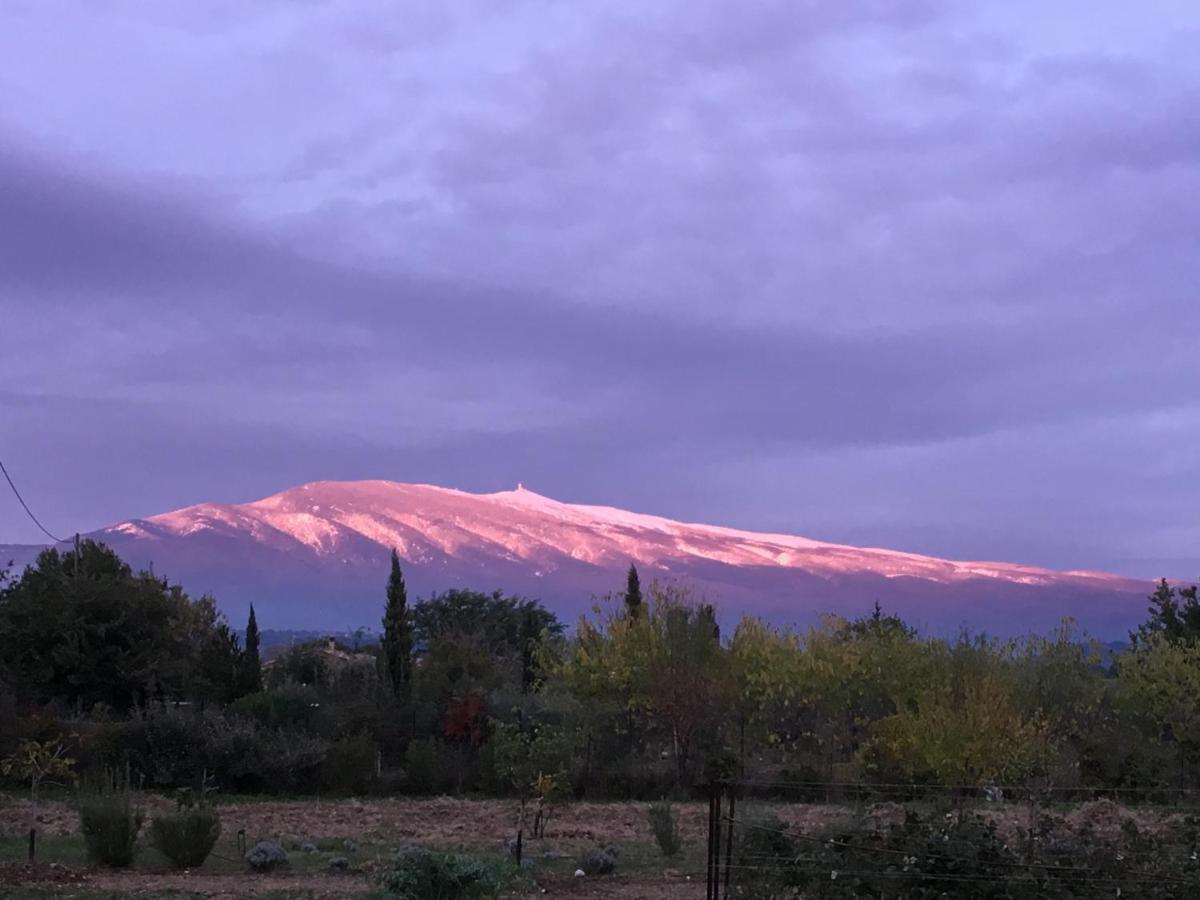 La Respelidane Villa Caromb Esterno foto