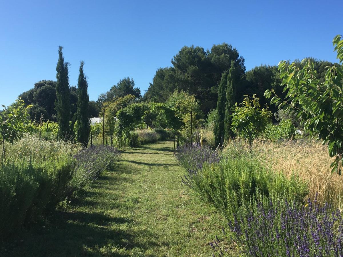 La Respelidane Villa Caromb Esterno foto