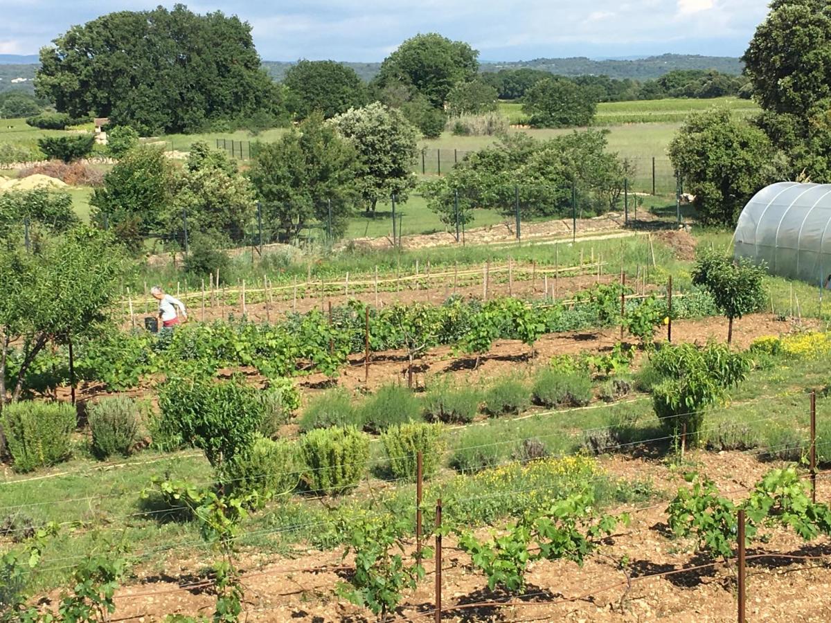 La Respelidane Villa Caromb Esterno foto