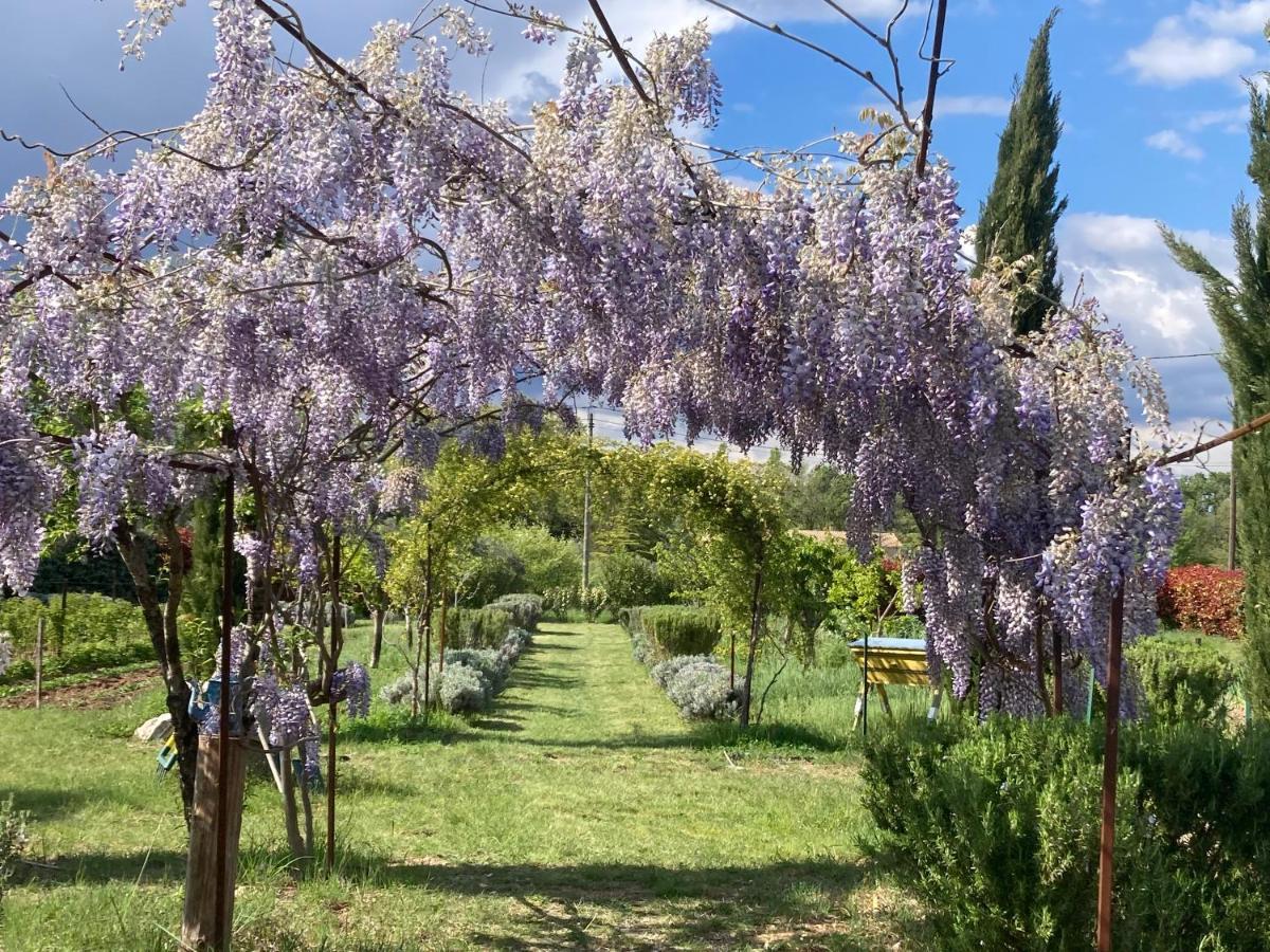 La Respelidane Villa Caromb Esterno foto